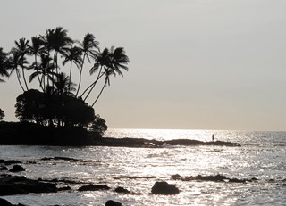 Another Precious Early Morning at the Fairmont Orchid