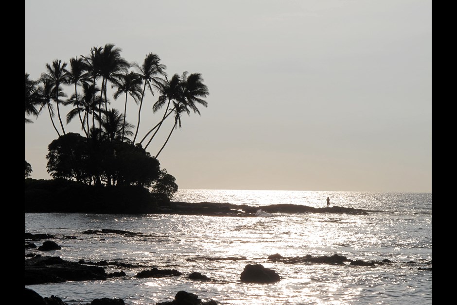 Another Precious Early Morning at the Fairmont Orchid
