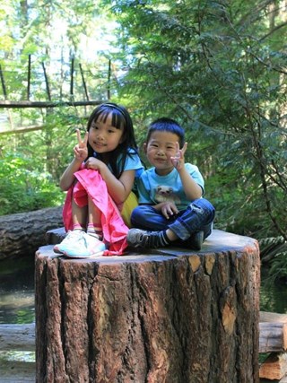 Explore Capilano Suspension Bridge Park