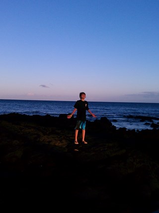 Gorgeous Fairmont Orchid
