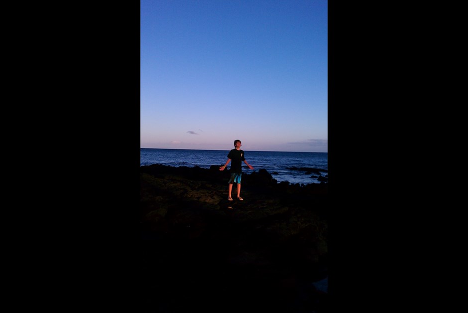 Gorgeous Fairmont Orchid