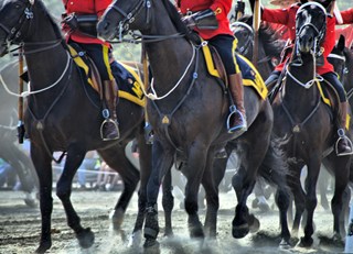 The RCMP Musical Ride....what a treat