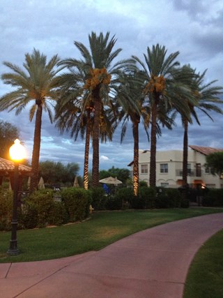 sultry summer night