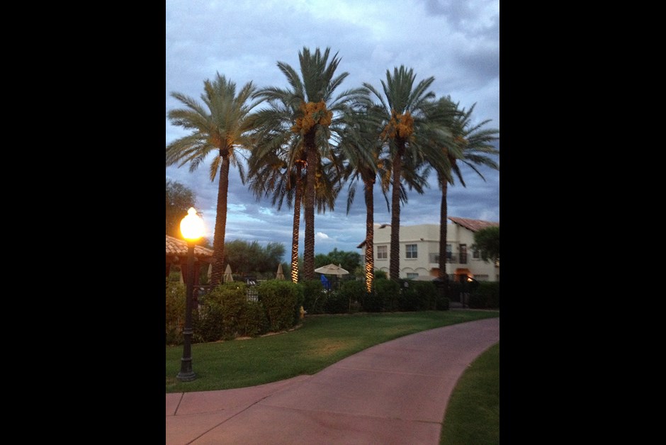sultry summer night