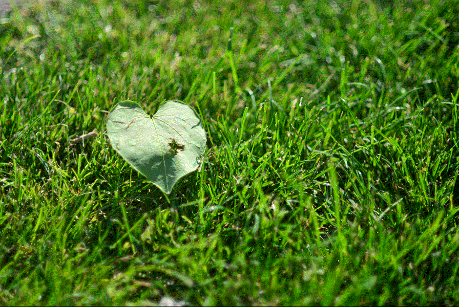 Summer Love in NYC