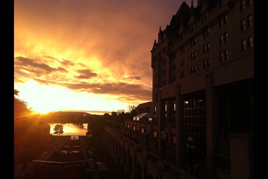 Golden sky, golden floor, golden race