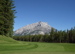 It is hard to concentrate on golf