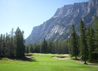 Pursuit of happiness