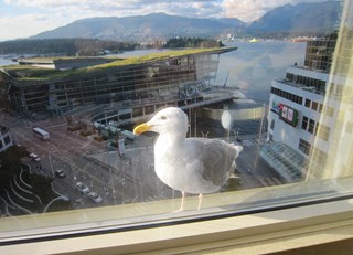 Good morning friend!