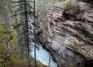 At Athabasca Falls