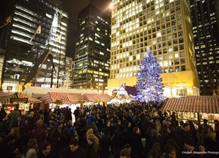 A 100 Year Tradition ~ City of Chicago Christmas Tree