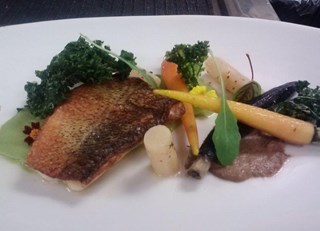 Seared Walleye