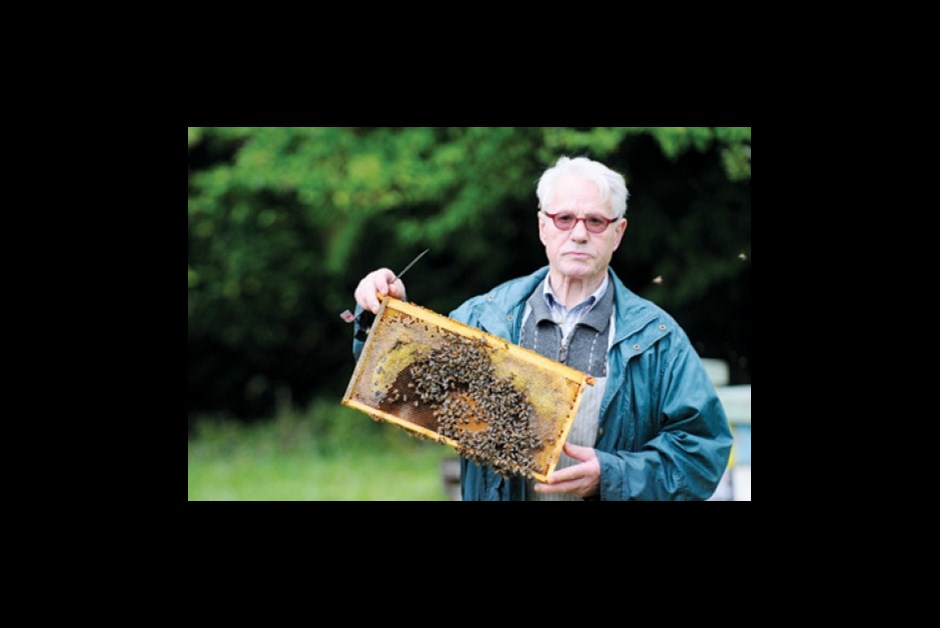 Meet the Beekeeper at Fairmont Empress 