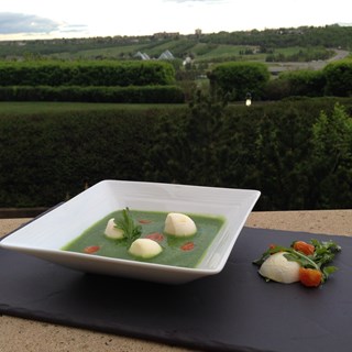 Cold Arugula soup with mozzarella and cherry tomato