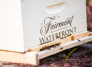 The Buzz on Bees with Bee Butler Michael King ~ July 14th