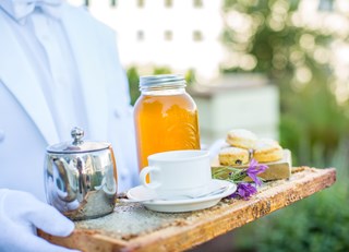 The Buzz on Bees with Bee Butler Michael King ~ June 12th