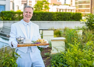 The Buzz on Bees with Bee Butler Michael King ~ May 30th