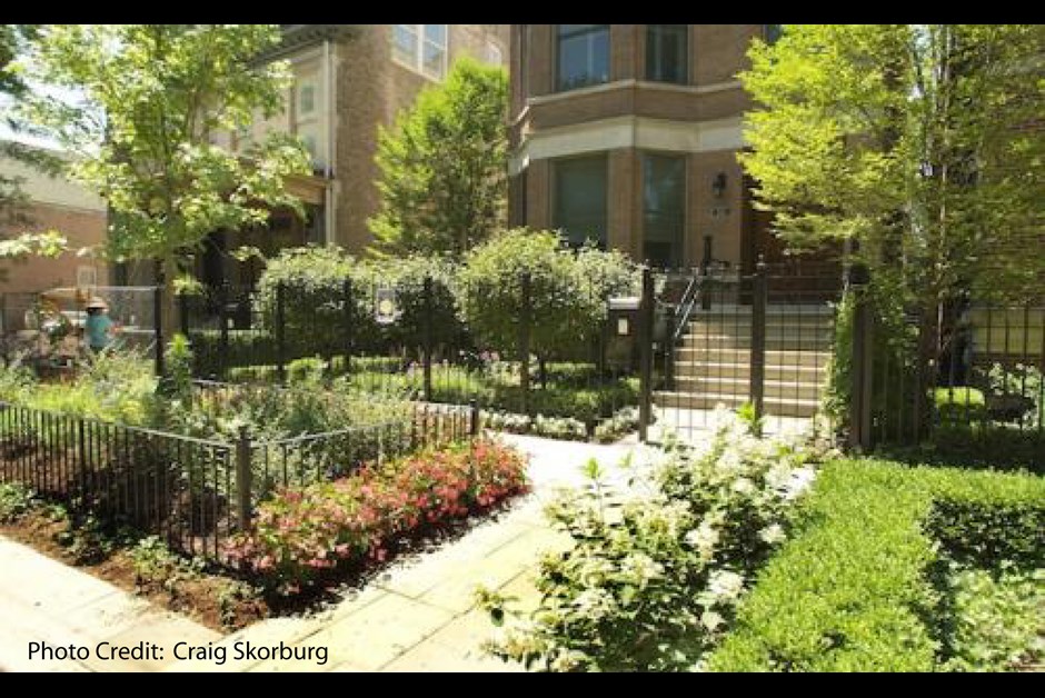 A Garden in the City