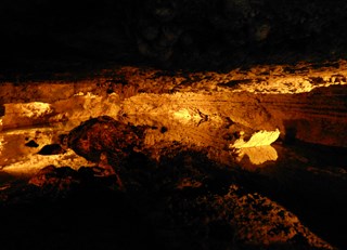 Mayakoba Natural Trail