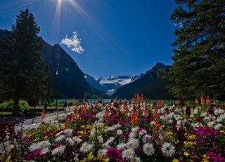 Lake Louise