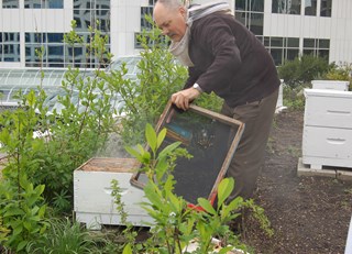 Bedtime for Bees ~ The Buzz on Bees with Bee Butler Michael King (September 2014)