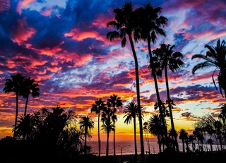 Beautiful Sunset SoCal style