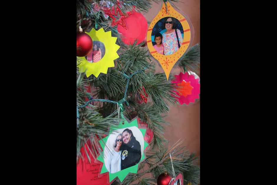 Tree of Hope at the Fairmont Sonoma Mission Inn & Spa