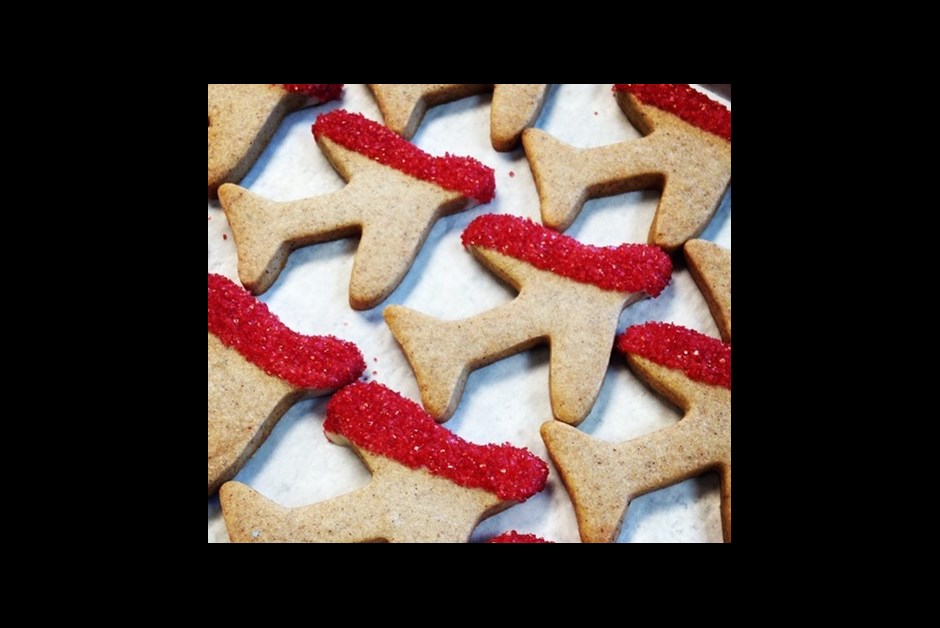Gingerbread Airplane Cookies