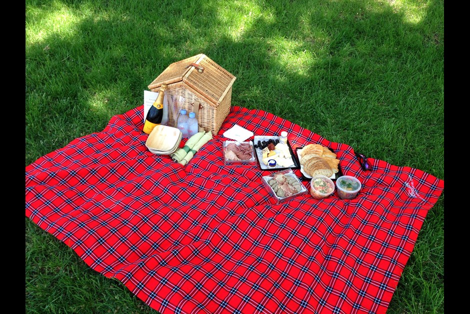 THE SPECIAL PICNIC PREPARED BY FAIRMONT STAFF!!