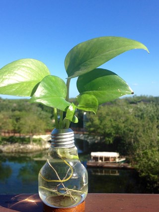 Fairmont Mayakoba Energy Saving Initiatives
