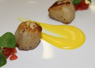 Seared Scallops Navel Orange Pur&#233;e