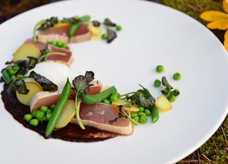 Fairmont Chateau Whistler's Tuna Nicoise Salad