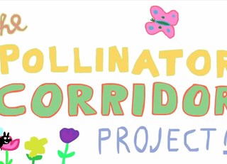 Fairmont Waterfront &amp; the Pollinator Corridor Project