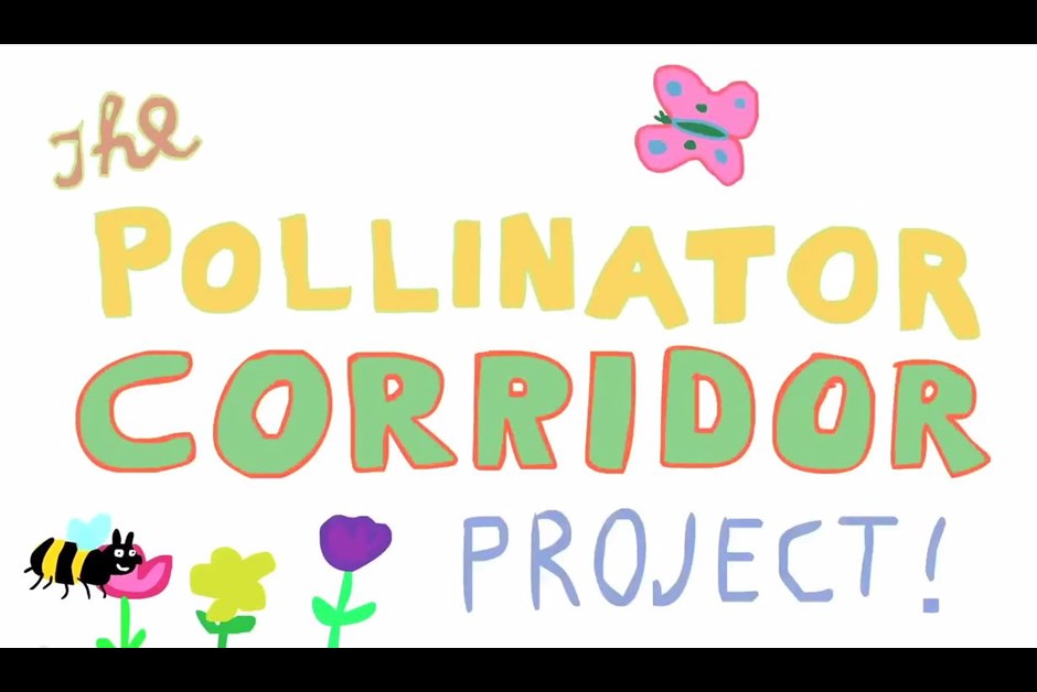 Fairmont Waterfront & the Pollinator Corridor Project