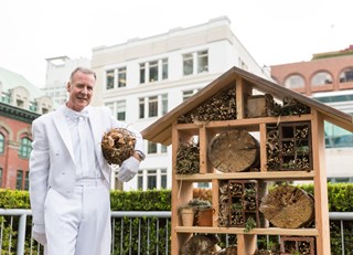 Bees Gone Wild ~ The Buzz on Bees with Bee Butler Michael King (June 2015)