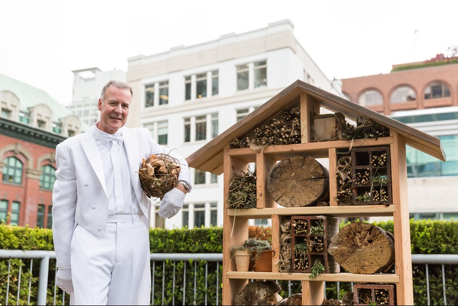 Bees Gone Wild ~ The Buzz on Bees with Bee Butler Michael King (June 2015)