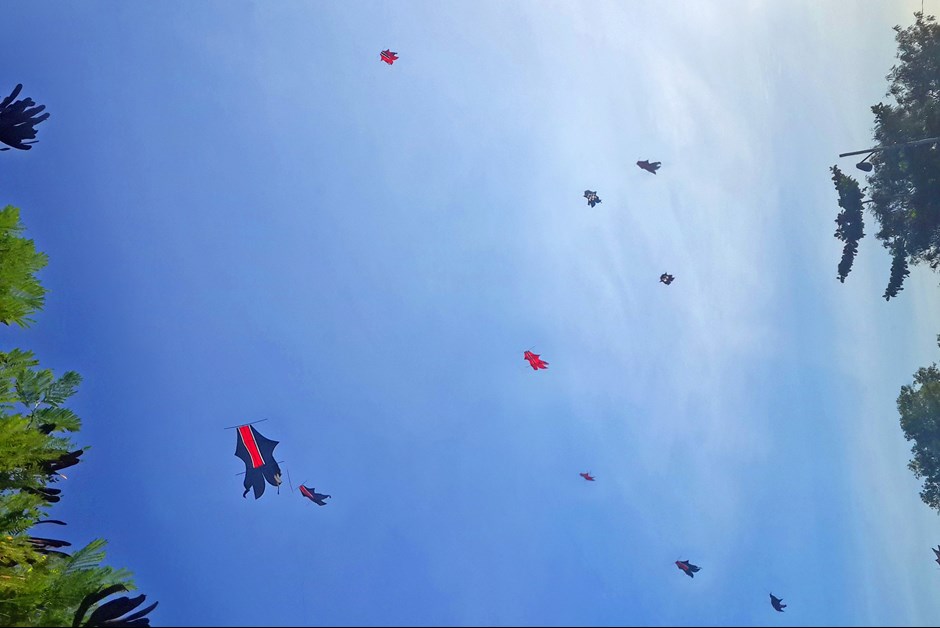 Bali Kite Festival