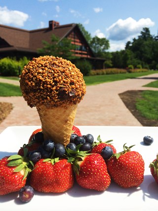 Maple and chocolate ice cream cone