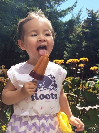 Lillooet Apricot & Blackberry Yogurt Popsicle