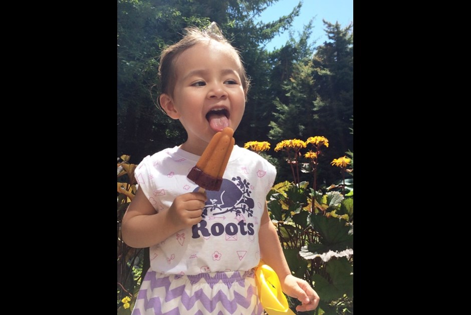 Lillooet Apricot & Blackberry Yogurt Popsicle