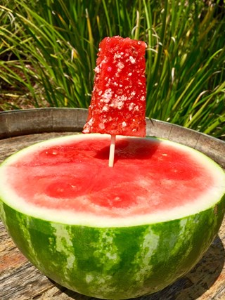 Watermelon Patch Popsicles