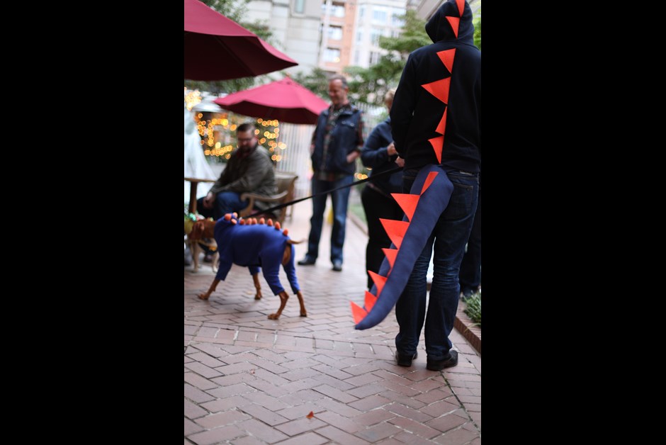 The Fourth Annual Howl-O-Ween Trick or Treating for Dogs at Fairmont 13