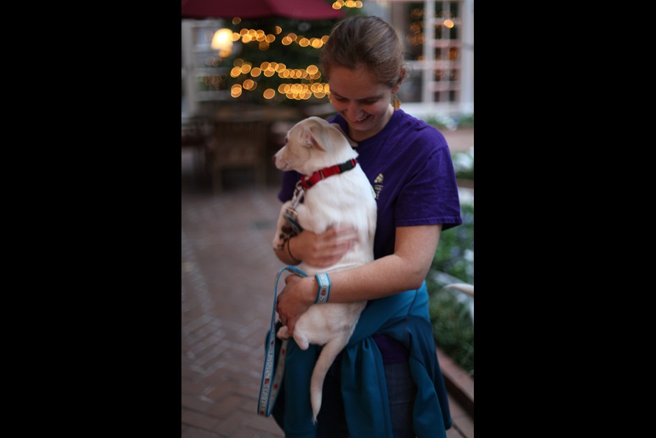 The Fourth Annual Howl-O-Ween Trick or Treating for Dogs at Fairmont 11