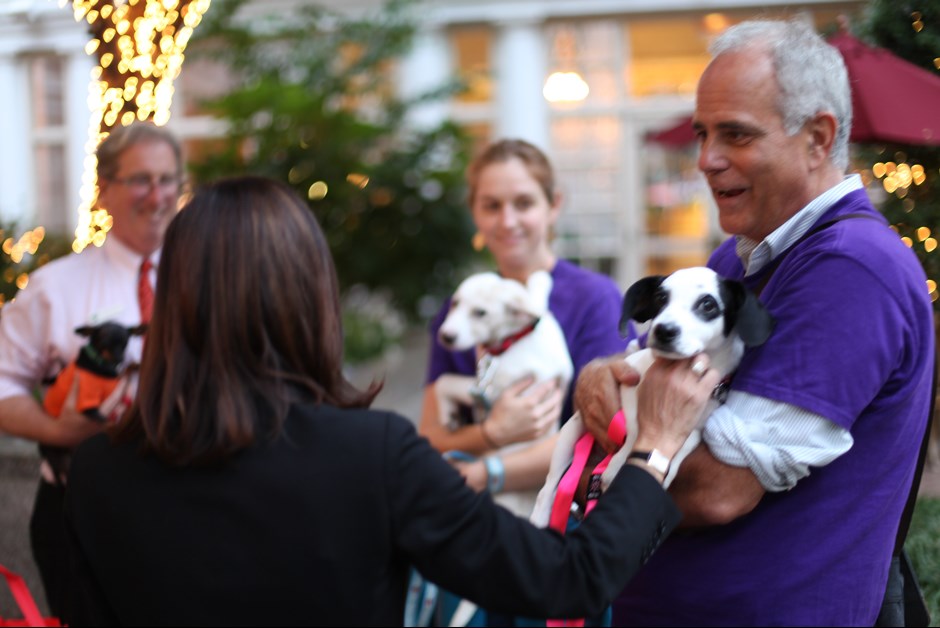 The Fourth Annual Howl-O-Ween Trick or Treating for Dogs at Fairmont 5