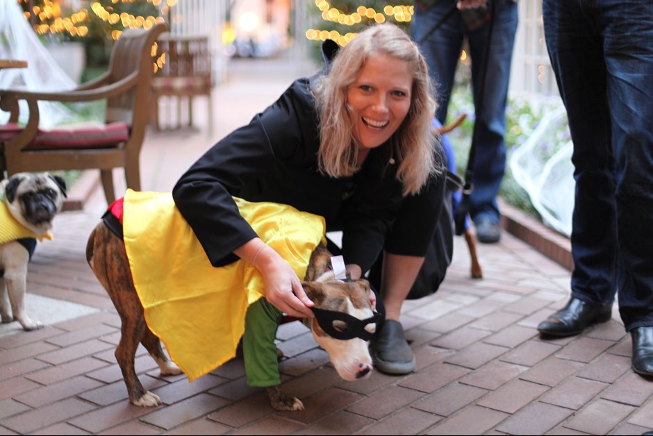 The Fourth Annual Howl-O-Ween Trick or Treating for Dogs at Fairmont 14