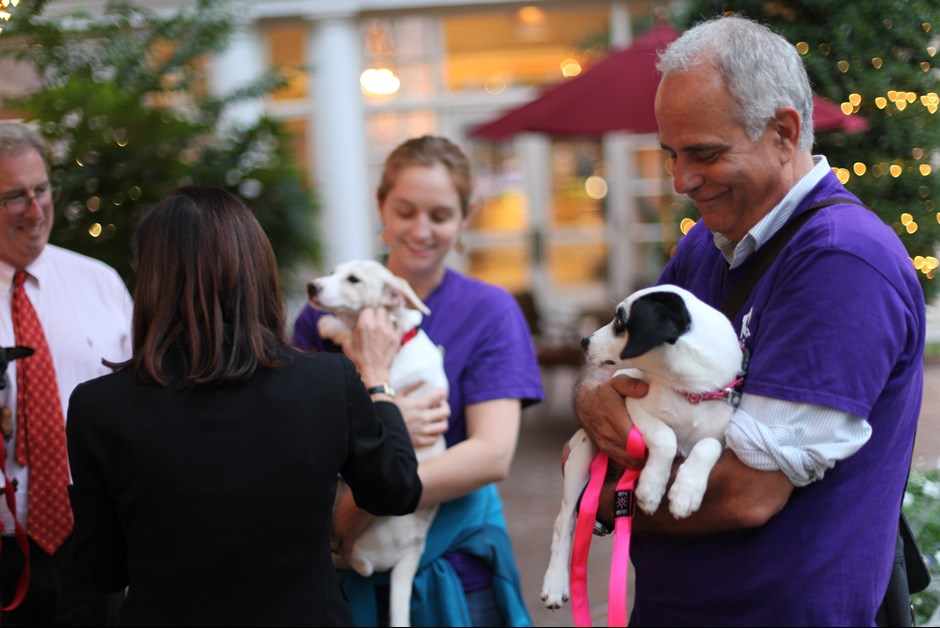 The Fourth Annual Howl-O-Ween Trick or Treating for Dogs at Fairmont 6