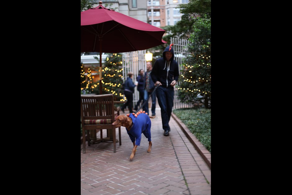 The Fourth Annual Howl-O-Ween Trick or Treating for Dogs at Fairmont 12