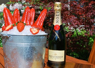 Strawberry Champagne Popsicles