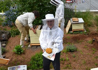 THE BEES ARE BACK IN TOWN - THE BUZZ ON FAIRMONT BEES WITH BEE BUTLER MICHAEL KING (MAY 2016)
