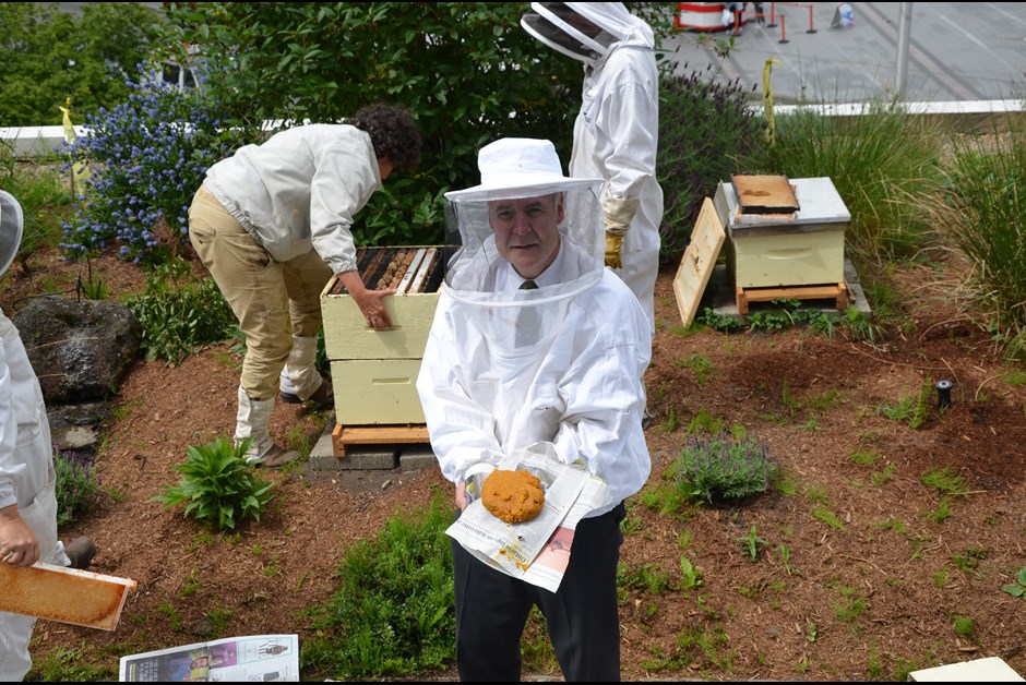 THE BEES ARE BACK IN TOWN - THE BUZZ ON FAIRMONT BEES WITH BEE BUTLER MICHAEL KING (MAY 2016)